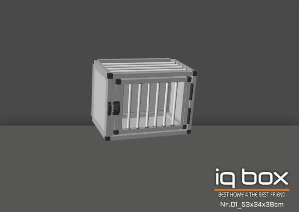 Iq Box Home Nr01