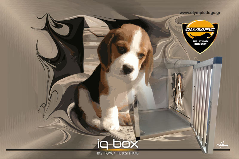 Iqbox Index 003